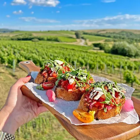 Ξενοδοχείο Hilltop Borbirtok & Etterem *