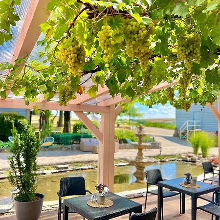 Hotel Hilltop Borbirtok & Etterem