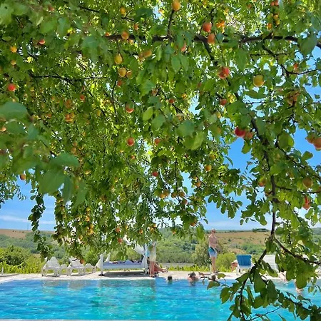 Hilltop Borbirtok & Etterem Hotell
