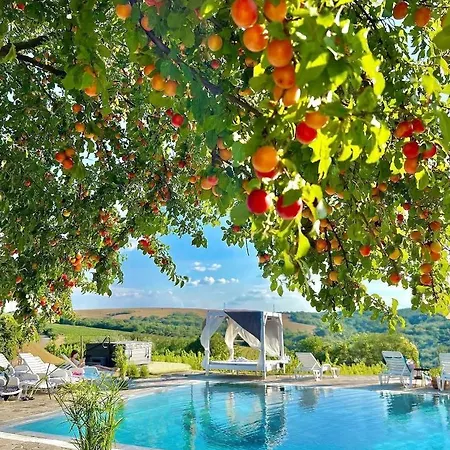 Ξενοδοχείο Hilltop Borbirtok & Etterem